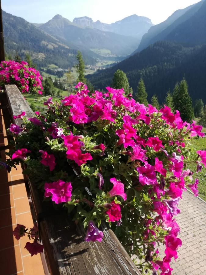 Chalet Relax Pozza di Fassa Buitenkant foto