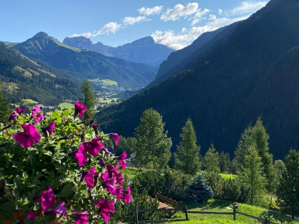 Chalet Relax Pozza di Fassa Buitenkant foto
