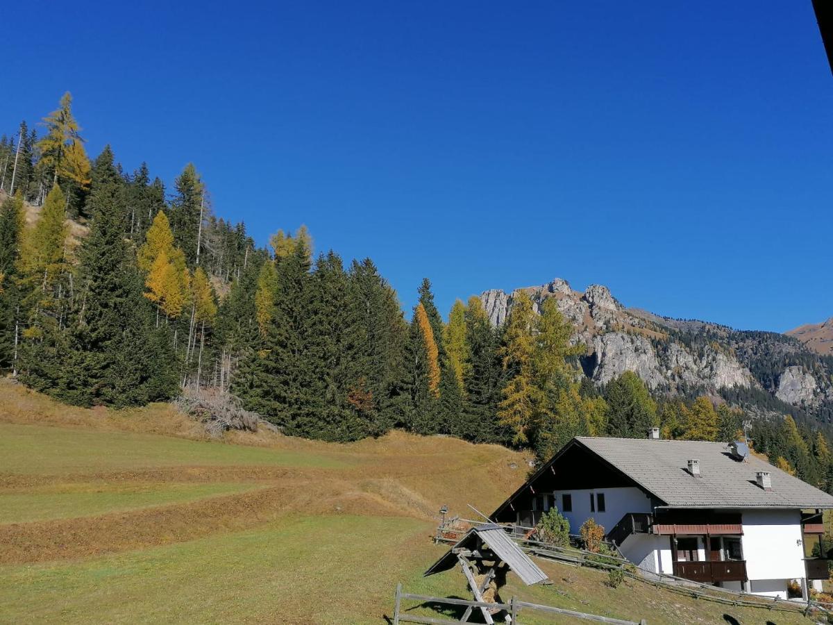 Chalet Relax Pozza di Fassa Buitenkant foto